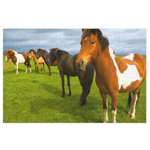 Klassische Puzzle für Erwachsene Teenager Freizeit Spaß Spiel Spielzeug Geeignet，Horses,，Lernspielzeug FüR Kinder 38x26，Papier Puzzle von XJUfW