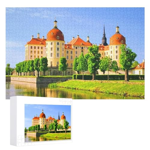 Klassische Puzzle für Erwachsene Teenager Freizeit Spaß Spiel Spielzeug Geeignet，„Sachsen, Schloss Moritzburg“ ，Lernspielzeug FüR Kinder 38x26，Papier Puzzle von XJUfW