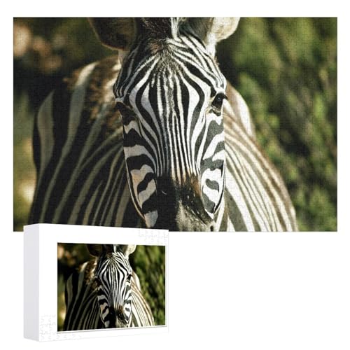 Klassische Puzzle für Erwachsene Teenager Freizeit Spaß Spiel Spielzeug Geeignet，Zebra Puzzle 1000 Teile，，Lernspielzeug FüR Kinder 52x38 Papier Puzzle von XJUfW