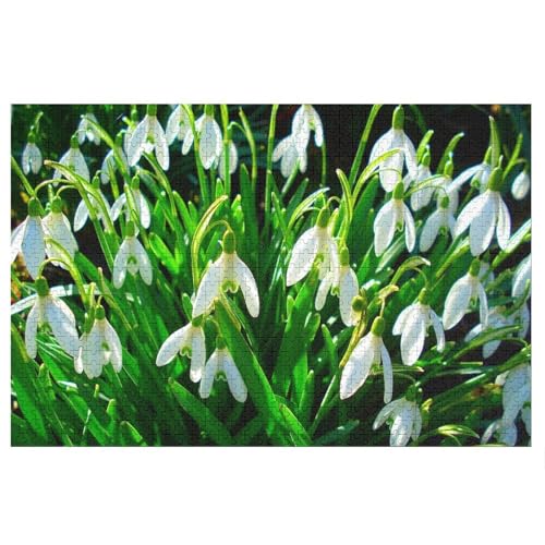 Klassische Puzzle für Erwachsene Teenager Freizeit Spaß Spiel Spielzeug Geeignet，snowdrops，Lernspielzeug FüR Kinder 38x26，Papier Puzzle von XJUfW