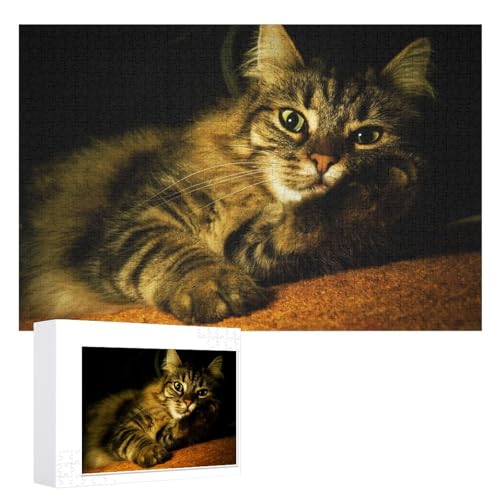 Puzzle für Erwachsene und Kinder ab 14 Jahren, 1000 StüCk，Katze Puzzle 1000 Teile ，，Lernspielzeug FüR Kinder 52x38 Papier Puzzle von XJUfW