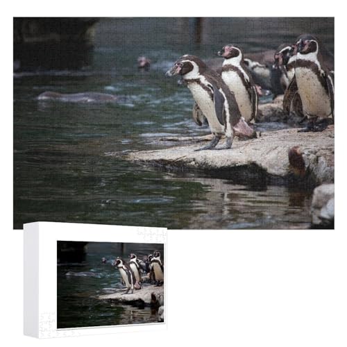 Puzzle für Erwachsene und Kinder ab 14 Jahren, 1000 StüCk，Pinguin Puzzle 1000 Teile ，，Lernspielzeug FüR Kinder 52x38 Papier Puzzle von XJUfW