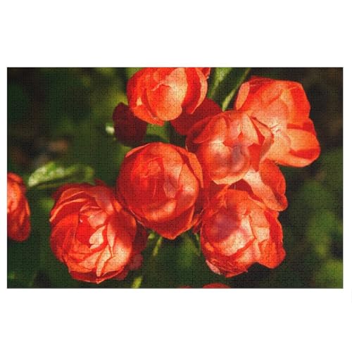 Puzzle für Erwachsene und Kinder ab 14 Jahren, 1000 StüCk，Roses Bloom, ，Lernspielzeug FüR Kinder 70x50，Papier Puzzle von XJUfW