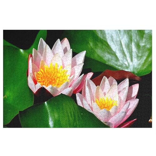 Puzzle für Erwachsene und Kinder ab 14 Jahren, 1000 StüCk，Water Lilies，Lernspielzeug FüR Kinder 38x26，Papier Puzzle von XJUfW