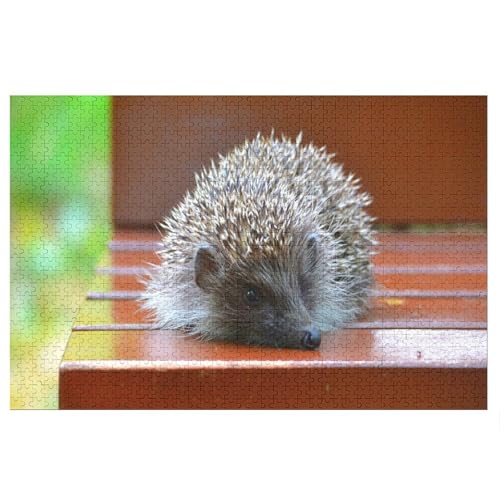 Wohnkultur Geburtstag ，Challenging Games Moderne Lernspiel Stress Relief ，1000 StüCk，Hedgehog，Lernspielzeug FüR Kinder 52x38 Papier Puzzle von XJUfW