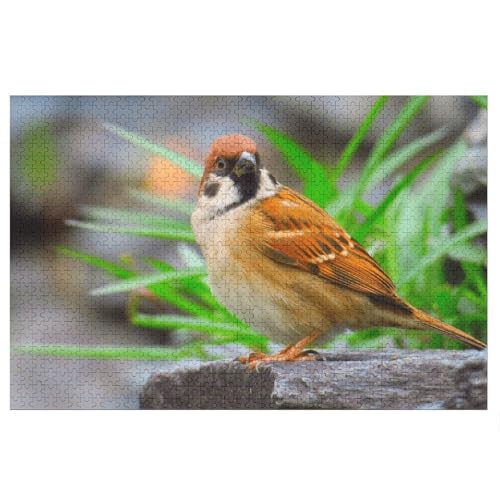 Wohnkultur Geburtstag ，Challenging Games Moderne Lernspiel Stress Relief ，1000 StüCk，One Sparrow, ，Lernspielzeug FüR Kinder 52x38 Papier Puzzle von XJUfW