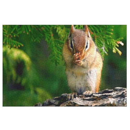 Wohnkultur Geburtstag ，Challenging Games Moderne Lernspiel Stress Relief ，1000 StüCk，Squirrel,，Lernspielzeug FüR Kinder 75x50，Holz Puzzle von XJUfW