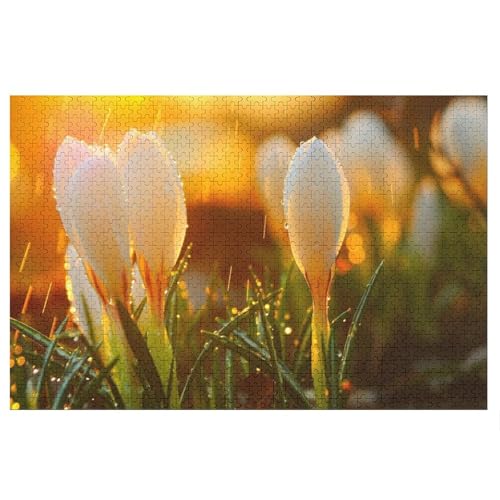 Wohnkultur Geburtstag ，Challenging Games Moderne Lernspiel Stress Relief ，1000 StüCk，snowdrops，Lernspielzeug FüR Kinder 38x26，Papier Puzzle von XJUfW