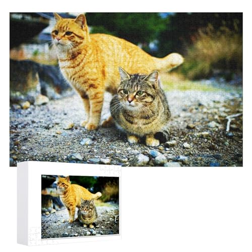 für Familie Freunde Dekorativ，1000 StüCk， Katzen Puzzle 1000 Teile |，，Lernspielzeug FüR Kinder 52x38 Papier Puzzle von XJUfW