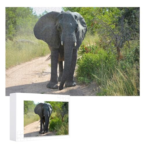 für Familie Freunde Dekorativ，1000 StüCk，Afrika Puzzle 1000 Teile ，，Lernspielzeug FüR Kinder 52x38 Papier Puzzle von XJUfW