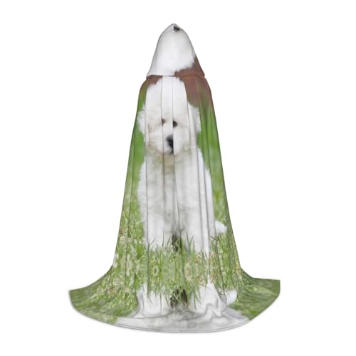 XLEWSIEU Bichon Frisé-Hunde-Aufdruck, Kapuzenumhang für Teenager, Weihnachts-Kapuzenpullover, Umhang, Cosplay, Cosplay-Kostüme von XLEWSIEU