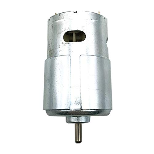 XSXSX Motor,Mikromotor,Gleichstrommotor 895 DC 12V-24V Drehmomentgetriebemotor, Gravurhalterung Miller Ersatz-Elektroschneckenlager-Kugel mit niedriger Geschwindigkeit von XSXSX