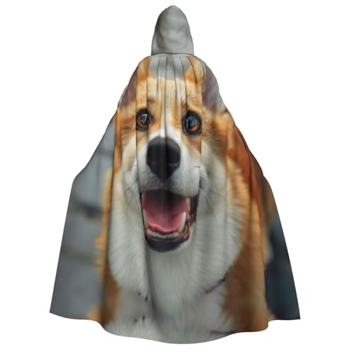 XTYGETY Süßer Corgi Halloween-Weihnachtsumhang mit Kapuze, Unisex, Vampir-Zauberer-Robe, mittelalterlicher Umhang von XTYGETY