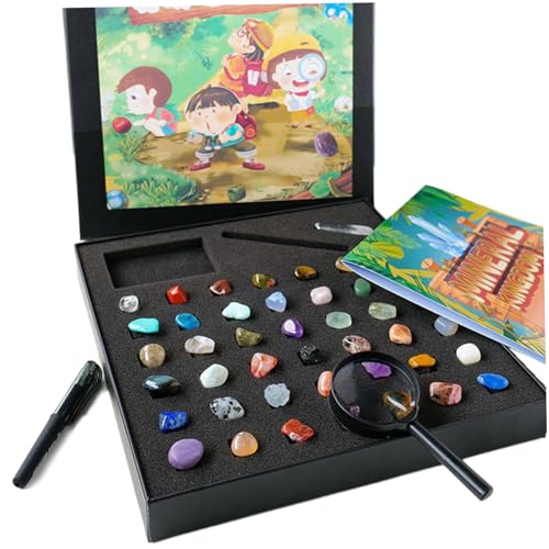 XUEYEGONGJI 43pcs Rocksammlungen für Kinder, 43 Verschiedene Edelsteine ​​für Kinder, Rockkollektion mit Box, Mineral Education Set Science Gift für Jungen Mädchen, Rocksammlung von XUEYEGONGJI