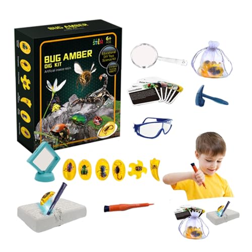 Xianghaoshun Fly Amber Dig Kit,Fly Dig Set für Kinder | Fly Model Dig Kit | Interaktive STEM-Spielzeug-Wissenschaftssets, Lernspielzeug-Ausgrabungsset, Tiersammlung, künstliche Fliege für und Mädchen von Xianghaoshun