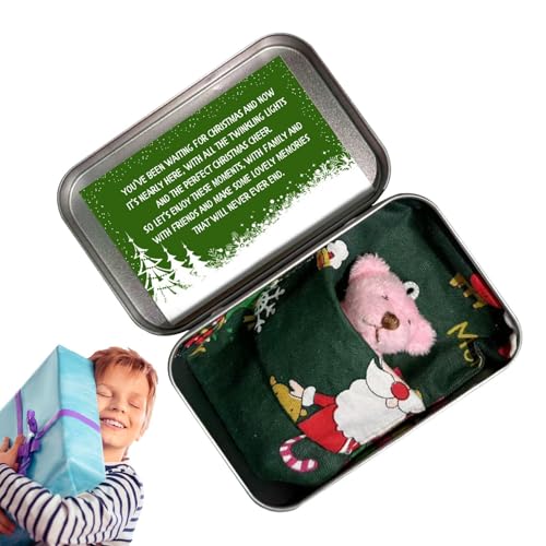 Xijobido Mini-Stoffbär in Einer Dose,Taschenbär-Plüschtier mit Karten und Steppdecken - Weihnachts-Taschenbär-Plüsch, Taschenbär-Spielzeug mit Karten und Steppdecken, ausgestopfte Bärenpuppen, von Xijobido