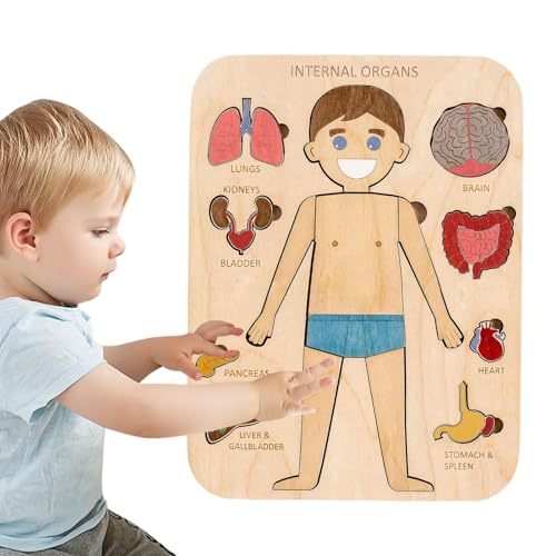 Anatomie-Puzzle, Struktur des menschlichen Körpers, Holzpuzzle für Kinder – pädagogisches S-Puzzle, Teile des menschlichen Körpers, interaktives -Lernpuzzle, für Kinder im Vorschulalter von Xinhuju