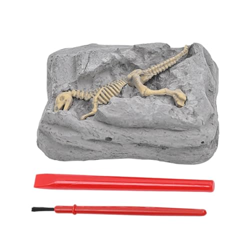Dinosaurier -Ausgrabungs -Kit, Dinosaurier Fossil Digging Kit | Dinosaurier -Fossilien für Kinder - STEM Learning Science Experimente Bildungsspielzeug mit Archäologie -Werkzeugen für sensorisches Dinosaurier -Ausgrabungs -Kit, Dinosaurier Fossil Digging Kit | Dinosaurier -Fossilien für Kinder - STEM Learning Science Experimente Bildungsspielzeug mit Archäologie -Werkzeugen für sensorisches von Xinhuju