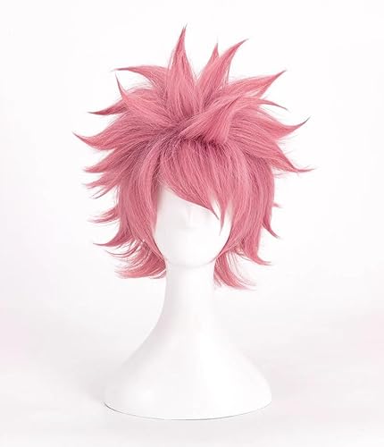 Xinnice Fairy Tail Cosplay Kostüm | Etherious Natsu Dragneel Anime Cosplay | Japanisches Anime Kostüm Set | Halloween Party Outfit/Perücke Für Herren Damen von Xinnice