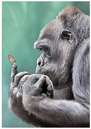 Xiutailtd Puzzle mit Tiermotiven von Gorilla und Schmetterling, für Erwachsene, 1000 Puzzles, Ucationale Spiele, intensive Farben und hochauflösender Druck von XiuTaiLtd