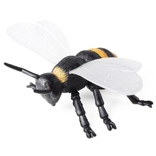 Xoeryoy Bienenspielzeug realistische Plastikwanzen Model Bildungstierspielzeug für Kinder Kleinkinder Wissenschaftsprojekt 6.1x4.5x2.1 Zoll Xoeryoy Bienenspielzeug realistische Plastikwanzen Model Bildungstierspielzeug für Kinder Kleinkinder Wissenschaftsprojekt 6.1x4.5x2.1 Zoll von Xoeryoy