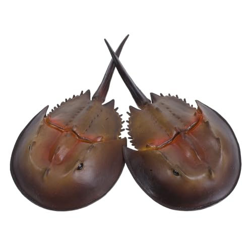 YARNOW 2 Stück Realistische Plastik-krabben Tierfiguren für Detailreiche Lebensechte Ozeanbewohner Vielseitig für Sandkästen Indoor-Spiel Farbintensiv Robust YARNOW 2 Stück Realistische Plastik-krabben Tierfiguren für Detailreiche Lebensechte Ozeanbewohner Vielseitig für Sandkästen Indoor-Spiel Farbintensiv Robust von YARNOW