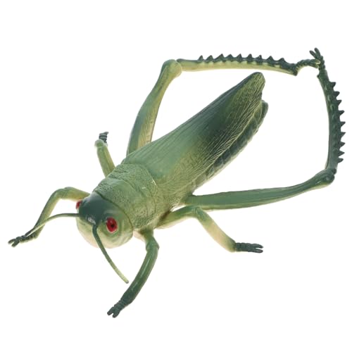 YARNOW Insektenmodell Insekten lernspielzeug Kunststoffgrashüpfer Modellgrashüpfer Outdoor- Halloween-Insektenspielzeug Cricket- für PVC Green von YARNOW