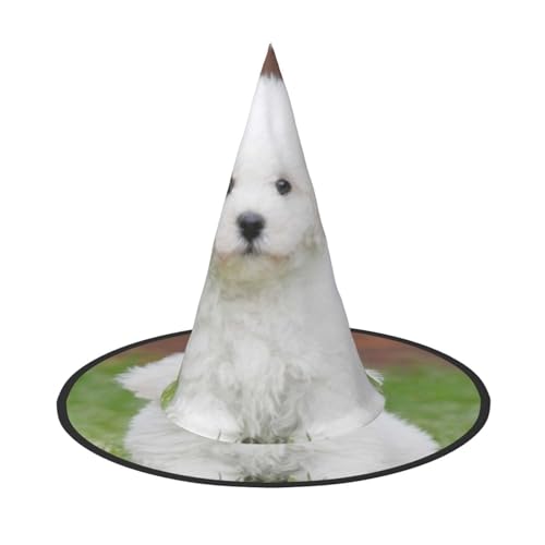 YFSGDLBN Bichon Frisé-Hund, bedruckt, Halloween-Hut, Hexenhut, spitzer Hut, dekorativer Hut von YFSGDLBN