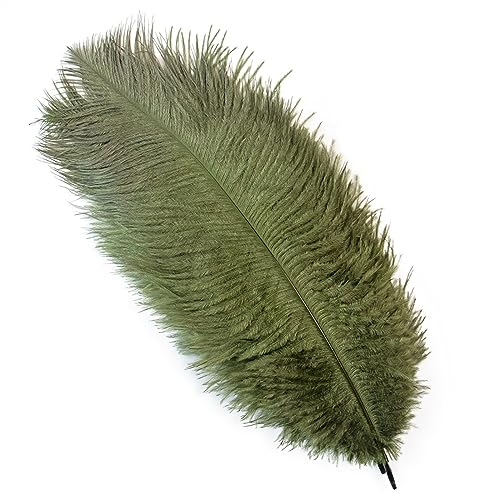 10Pcs 15-50cm Black White Natural Ostrich Feathers for Craft Wedding Center,Ostrich Plumes Table Centerpieces Decoration(Army Green,15-20cm) von YIMEIYA