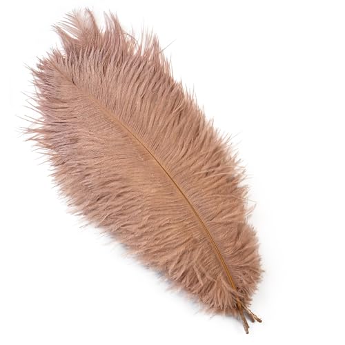 10Pcs 15-50cm Black White Natural Ostrich Feathers for Craft Wedding Center,Ostrich Plumes Table Centerpieces Decoration(Brown,15-20cm) von YIMEIYA