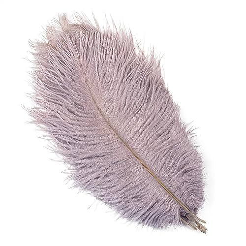 10Pcs 15-50cm Black White Natural Ostrich Feathers for Craft Wedding Center,Ostrich Plumes Table Centerpieces Decoration(Dark Purple,15-20cm) von YIMEIYA