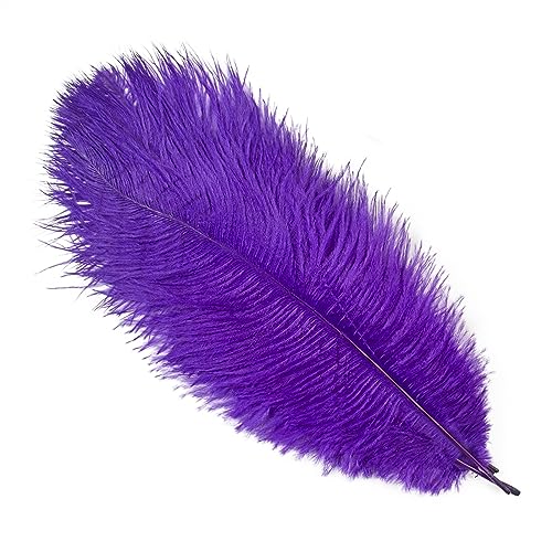 10Pcs 15-50cm Black White Natural Ostrich Feathers for Craft Wedding Center,Ostrich Plumes Table Centerpieces Decoration(Deep Purple,20-25cm) von YIMEIYA