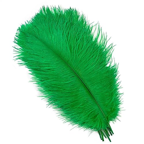 10Pcs 15-50cm Black White Natural Ostrich Feathers for Craft Wedding Center,Ostrich Plumes Table Centerpieces Decoration(Grass Green,25-30cm) von YIMEIYA