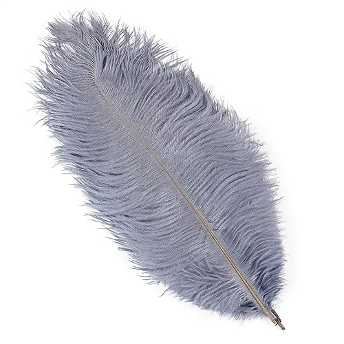 10Pcs 15-50cm Black White Natural Ostrich Feathers for Craft Wedding Center,Ostrich Plumes Table Centerpieces Decoration(Gray,20-25cm) von YIMEIYA