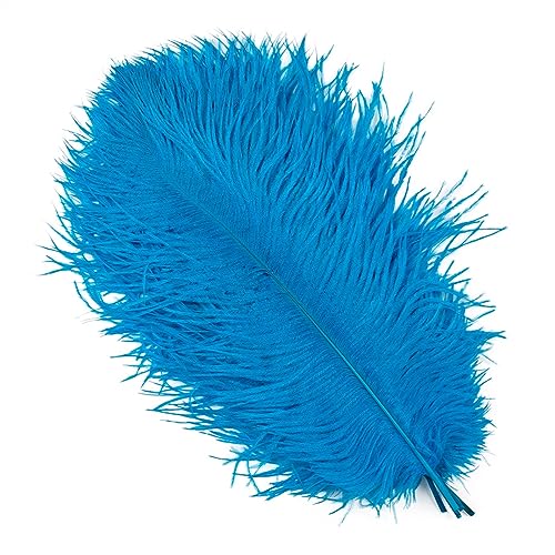 10Pcs 15-50cm Black White Natural Ostrich Feathers for Craft Wedding Center,Ostrich Plumes Table Centerpieces Decoration(Lake Blue,15-20cm) von YIMEIYA