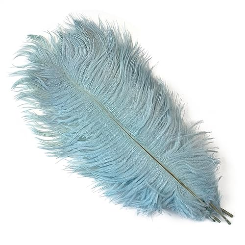 10Pcs 15-50cm Black White Natural Ostrich Feathers for Craft Wedding Center,Ostrich Plumes Table Centerpieces Decoration(Light Blue,15-20cm) von YIMEIYA