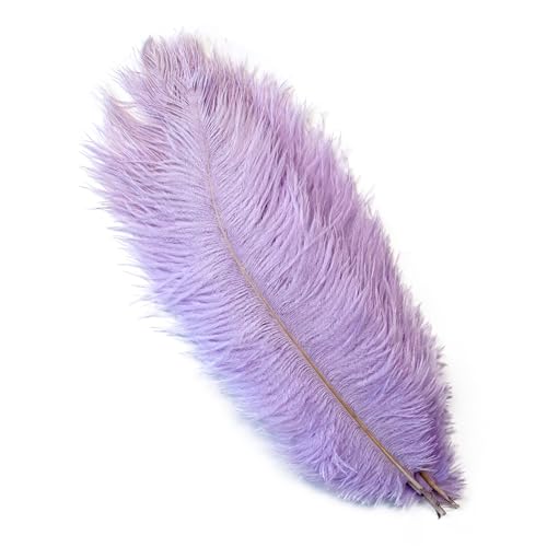 10Pcs 15-50cm Black White Natural Ostrich Feathers for Craft Wedding Center,Ostrich Plumes Table Centerpieces Decoration(Light Purple,20-25cm) von YIMEIYA