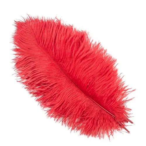 10Pcs 15-50cm Black White Natural Ostrich Feathers for Craft Wedding Center,Ostrich Plumes Table Centerpieces Decoration(Red,15-20cm) von YIMEIYA