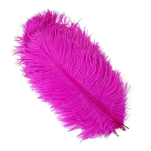 10Pcs 15-50cm Black White Natural Ostrich Feathers for Craft Wedding Center,Ostrich Plumes Table Centerpieces Decoration(Rose Red,15-20cm) von YIMEIYA