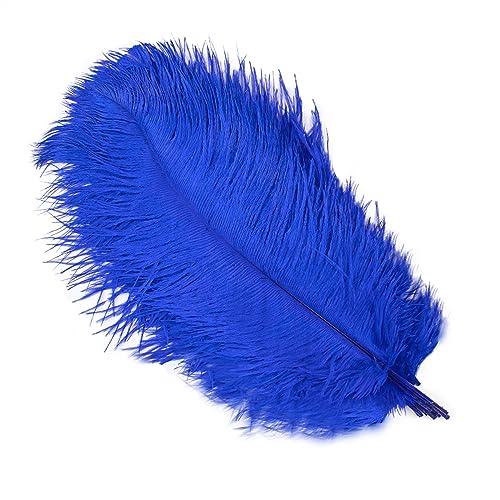 10Pcs 15-50cm Black White Natural Ostrich Feathers for Craft Wedding Center,Ostrich Plumes Table Centerpieces Decoration(Royal Blue,20-25cm) von YIMEIYA