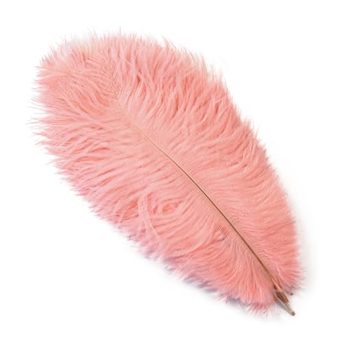 10Pcs 15-50cm Black White Natural Ostrich Feathers for Craft Wedding Center,Ostrich Plumes Table Centerpieces Decoration(Shrimp Pink,15-20cm) von YIMEIYA