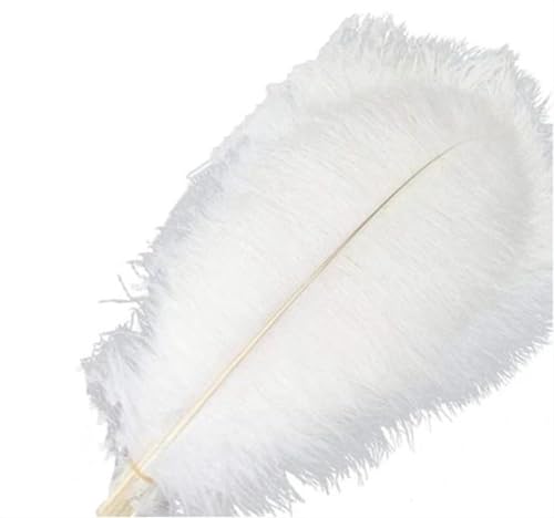 10Pcs 15-50cm Black White Natural Ostrich Feathers for Craft Wedding Center,Ostrich Plumes Table Centerpieces Decoration(White,15-20cm) von YIMEIYA