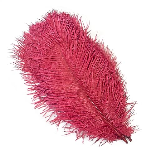 10Pcs 15-50cm Black White Natural Ostrich Feathers for Craft Wedding Center,Ostrich Plumes Table Centerpieces Decoration(Wine Red,20-25cm) von YIMEIYA