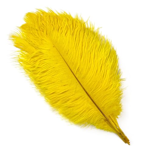 10Pcs 15-50cm Black White Natural Ostrich Feathers for Craft Wedding Center,Ostrich Plumes Table Centerpieces Decoration(Yellow,20-25cm) von YIMEIYA