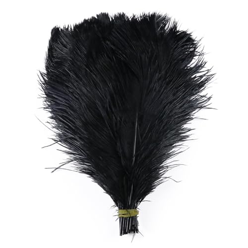 10pcs 15-60cm Black White Ostrich Feathers Bulk for Crafts Carnival Table Decor Plumas Accessories(Black,25-30cm) von YIMEIYA