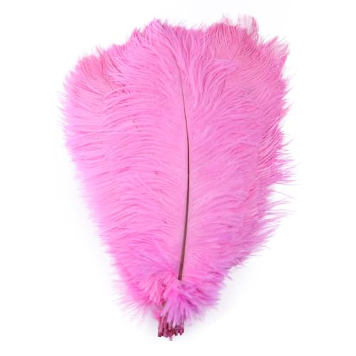 10pcs 15-60cm Black White Ostrich Feathers Bulk for Crafts Carnival Table Decor Plumas Accessories(Dark Pink,25-30cm) von YIMEIYA