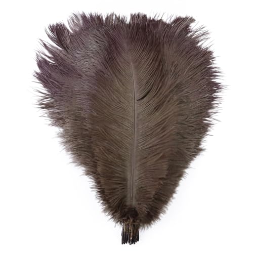 10pcs 15-60cm Black White Ostrich Feathers Bulk for Crafts Carnival Table Decor Plumas Accessories(Deep Coffee,25-30cm) von YIMEIYA