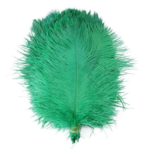 10pcs 15-60cm Black White Ostrich Feathers Bulk for Crafts Carnival Table Decor Plumas Accessories(Grass Green,25-30cm) von YIMEIYA