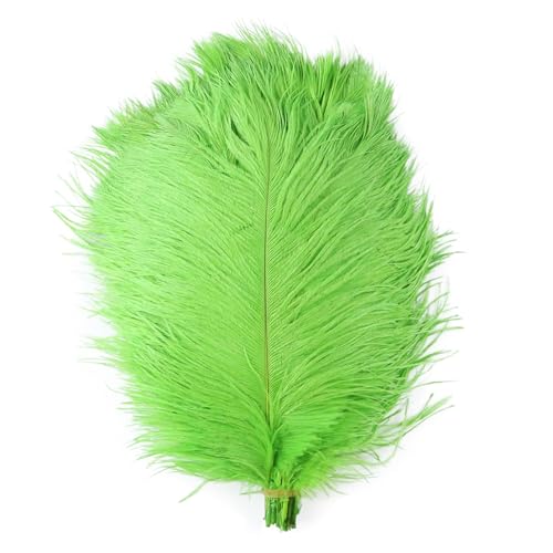 10pcs 15-60cm Black White Ostrich Feathers Bulk for Crafts Carnival Table Decor Plumas Accessories(Green,15-20cm) von YIMEIYA