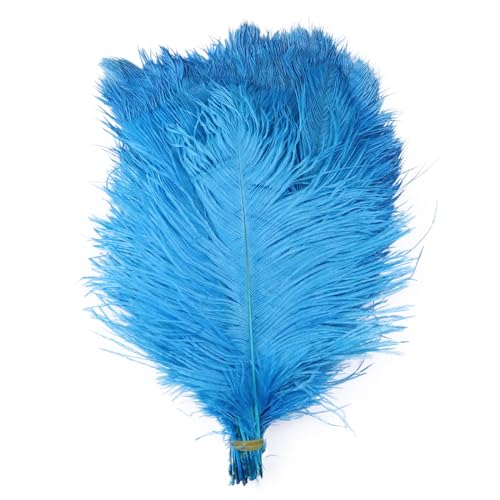 10pcs 15-60cm Black White Ostrich Feathers Bulk for Crafts Carnival Table Decor Plumas Accessories(Lake Blue,45-50cm) von YIMEIYA